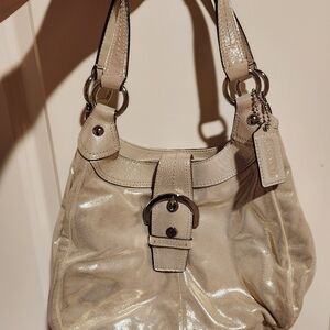 Coach Metallic Purse